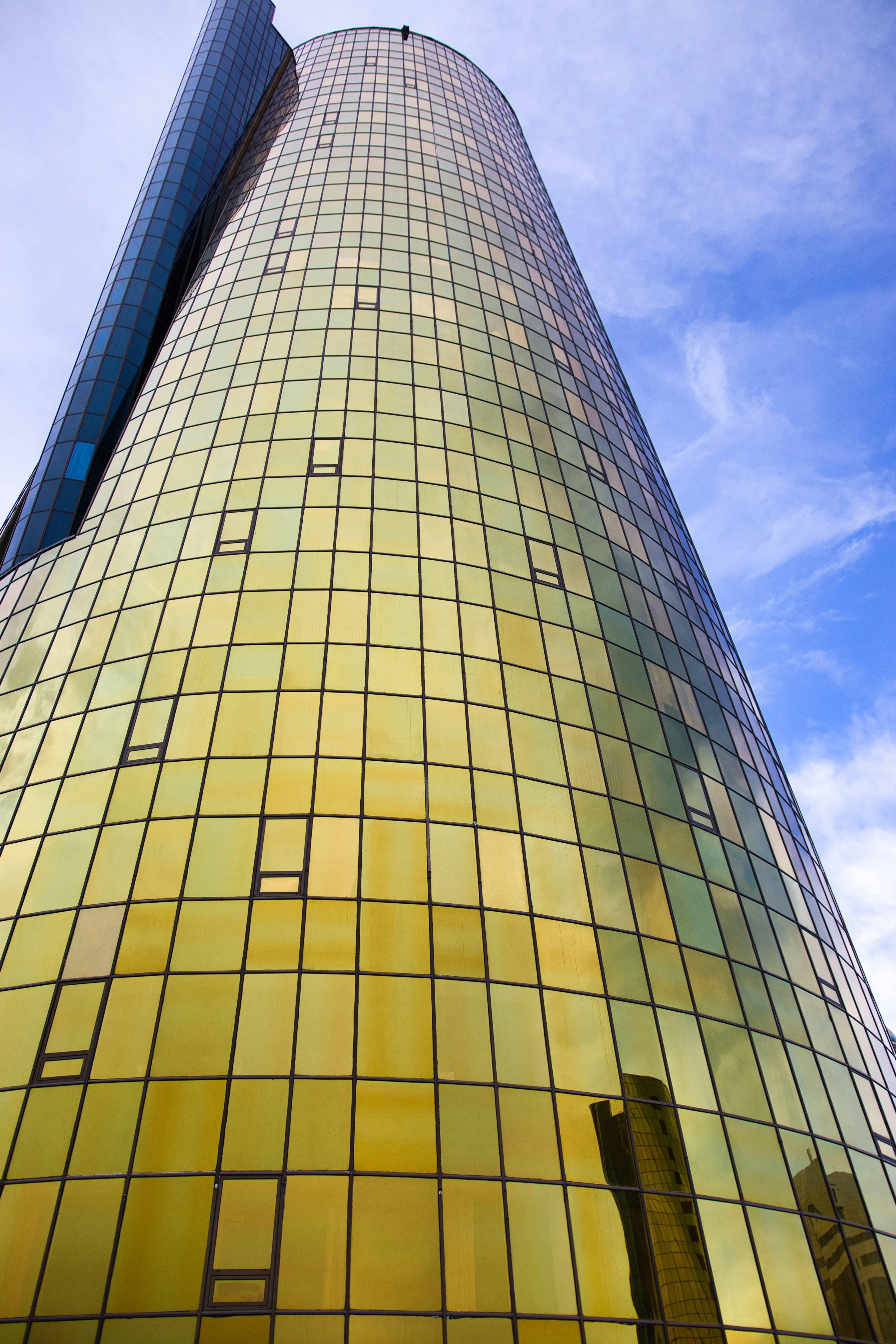 Facade glass — Paws And Prints